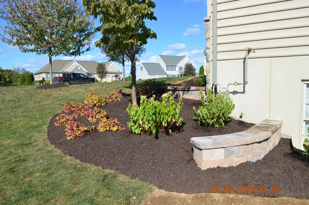 Expert yard cleanup service near you across Middletown, PA - Professional Approach Landscape Service