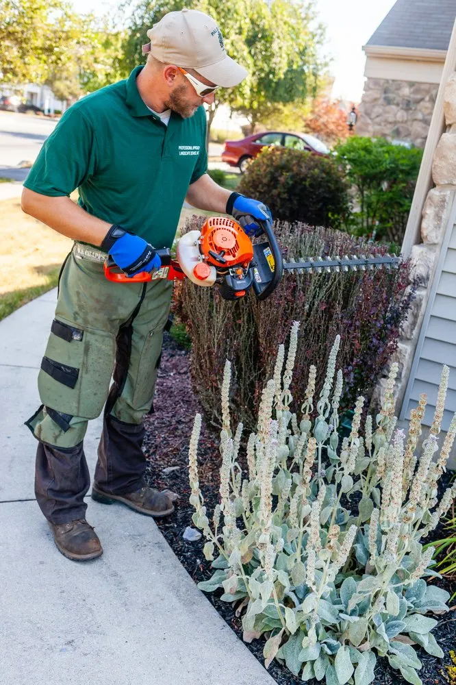 Local residential landscaping for year-round maintenance across Middletown, PA - Professional Approach Landscape Service