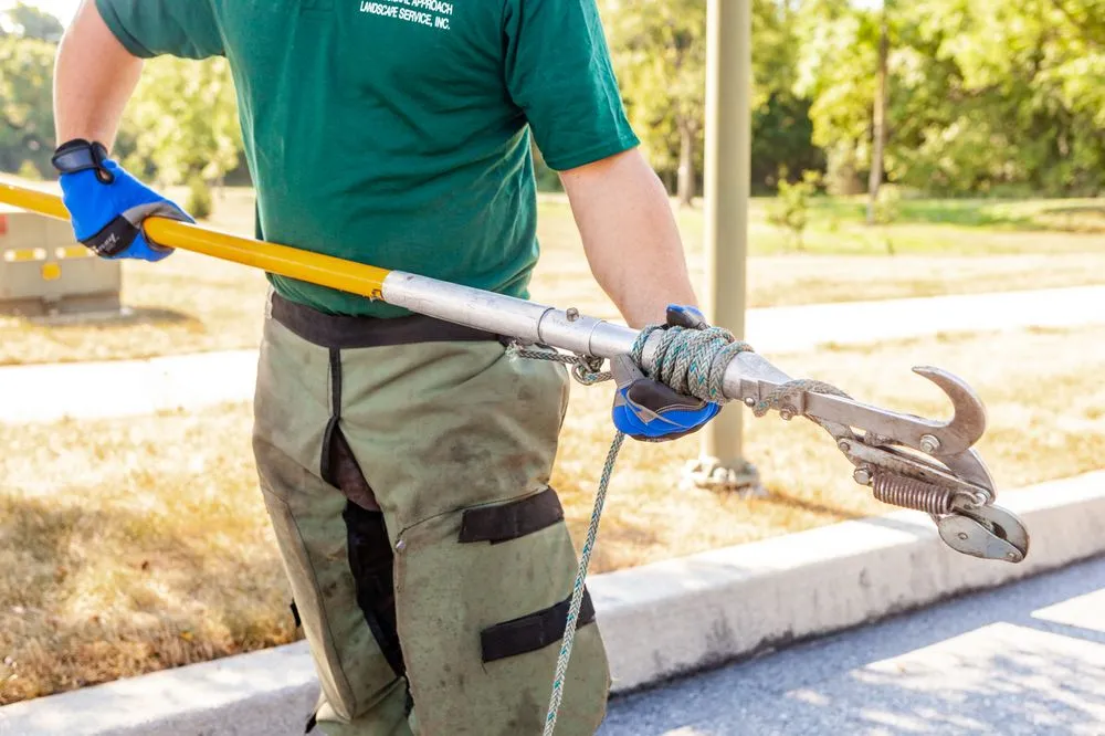 Trusted lawn mowing service with custom design in Middletown, PA by Professional Approach Landscape Service