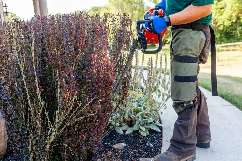 Top-rated garden landscaping for beautiful yards across Middletown, PA - Professional Approach Landscape Service