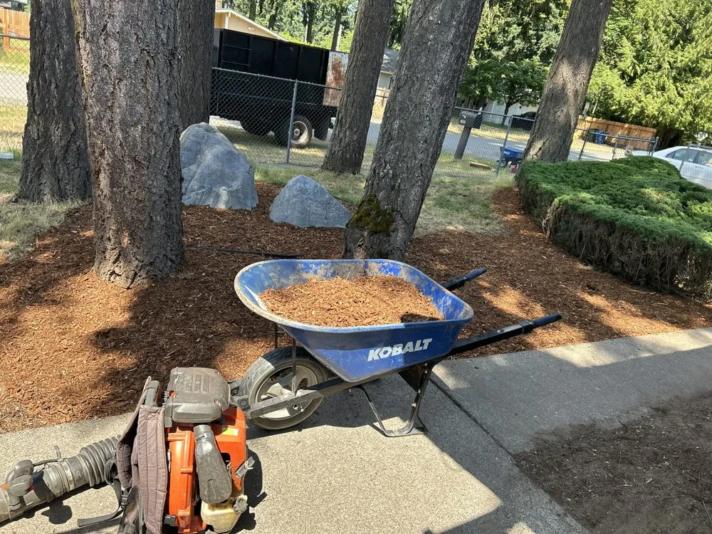 Reliable lawn mowing service in Kent, WA - Professional Brothers Landscaping