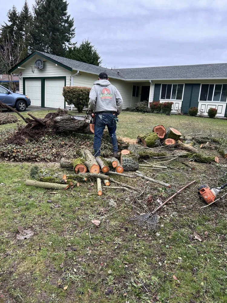 Reliable landscaping services in Kent, WA - Professional Brothers Landscaping