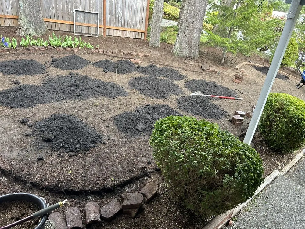 Affordable lawn mowing service for outdoor upgrades across Kent, WA - Professional Brothers Landscaping