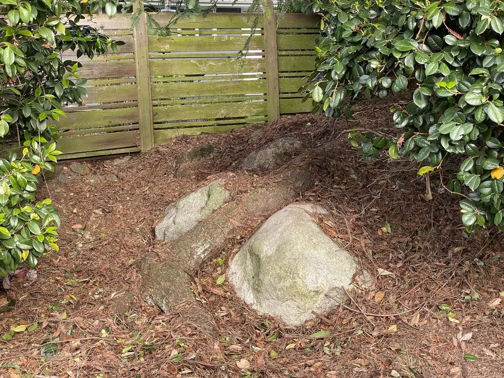 Trusted residential landscaping for residential properties in Kent, WA by Professional Brothers Landscaping