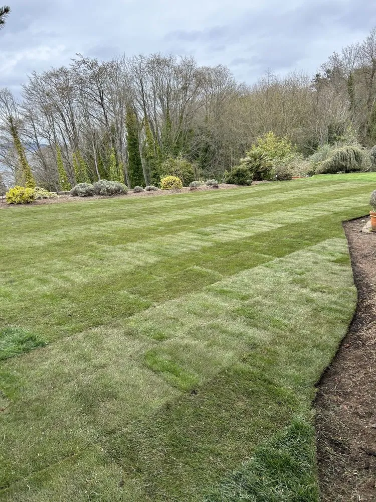 Reliable landscape design in Kent, WA - Professional Brothers Landscaping