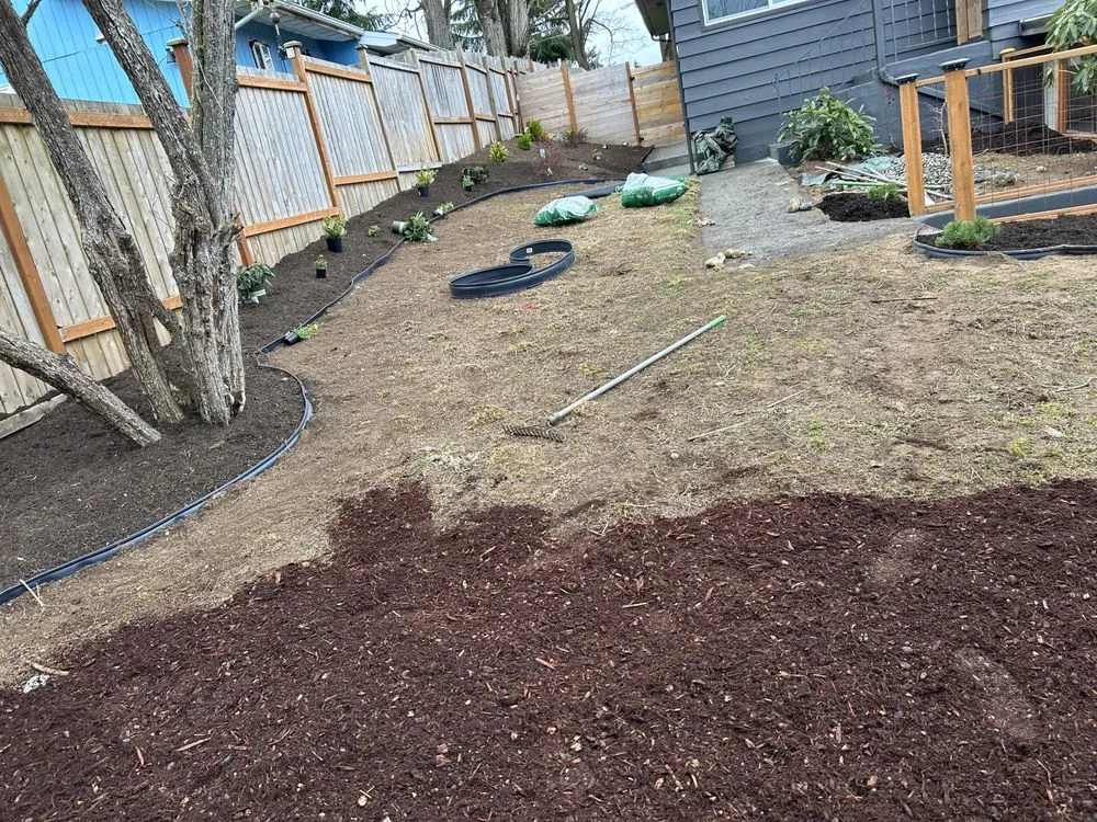 Reliable yard cleanup service in Kent, WA by Professional Brothers Landscaping