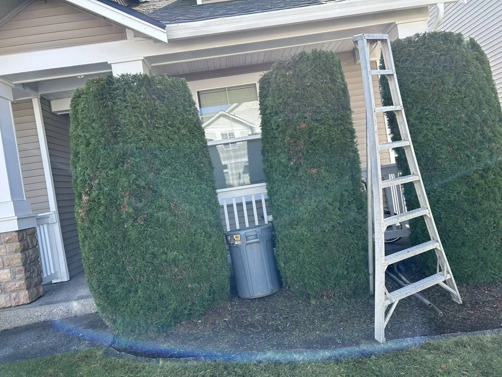 Professional lawn care service for residential properties in Kent, WA by Professional Brothers Landscaping