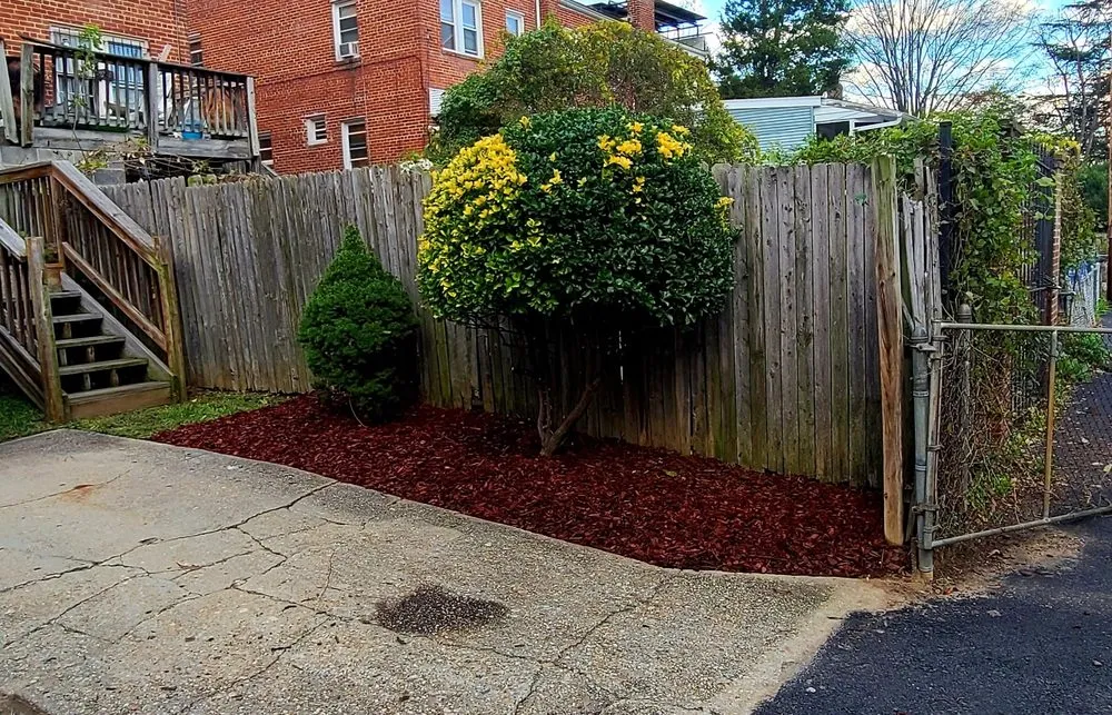 Professional yard maintenance in Fredericksburg, VA by Professional Building Care