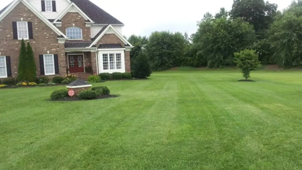 Custom landscape design in Fredericksburg, VA - Professional Building Care