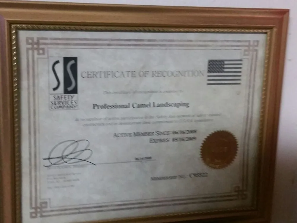 Trusted landscape design for homes across San Jose, CA - Professional Camel Landscaping