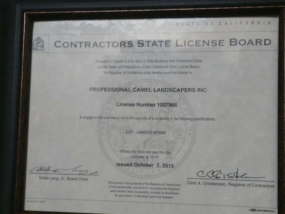 Reliable yard maintenance for beautiful yards in San Jose, CA by Professional Camel Landscaping