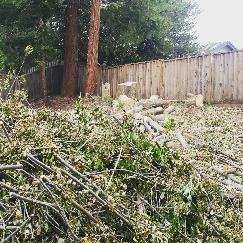 Affordable garden landscaping experts serving San Jose, CA - Professional Camel Landscaping