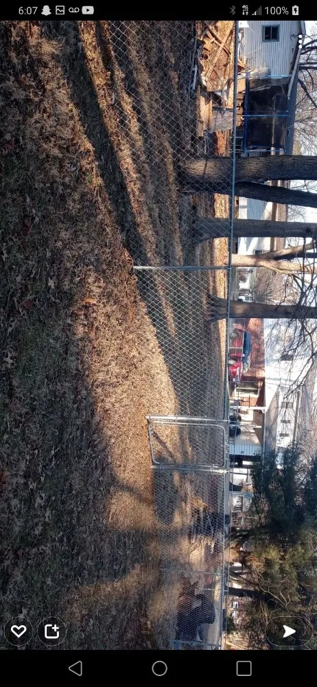 Local lawn care service for residential properties in New Athens, IL by Professional Construction and Landscaping