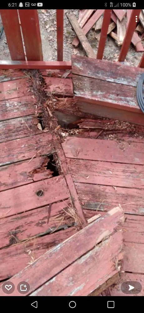 Custom garden landscaping near you in New Athens, IL by Professional Construction and Landscaping