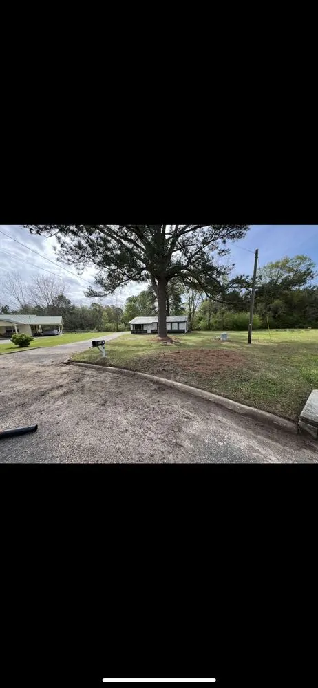 Professional yard cleanup service experts serving Ashford, AL - Professional Edge Lawn Care