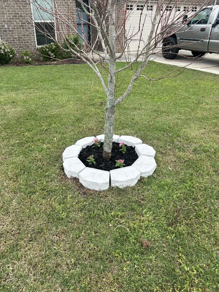 Top-rated yard cleanup service experts serving Ashford, AL - Professional Edge Lawn Care