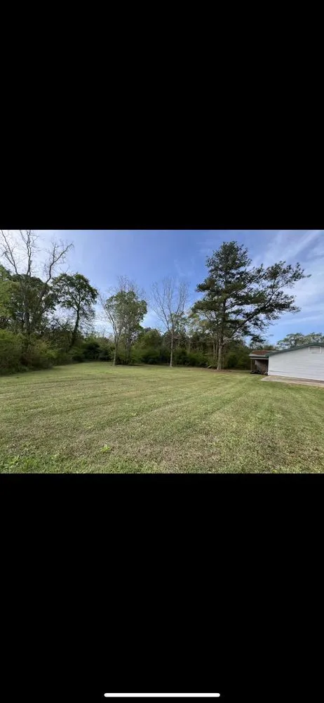 Top-rated lawn mowing service experts serving Ashford, AL - Professional Edge Lawn Care