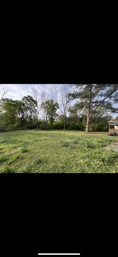 Expert landscape design experts serving Ashford, AL - Professional Edge Lawn Care