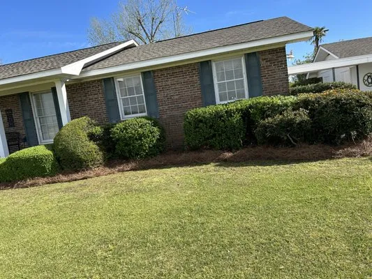 Professional Edge Lawn Care