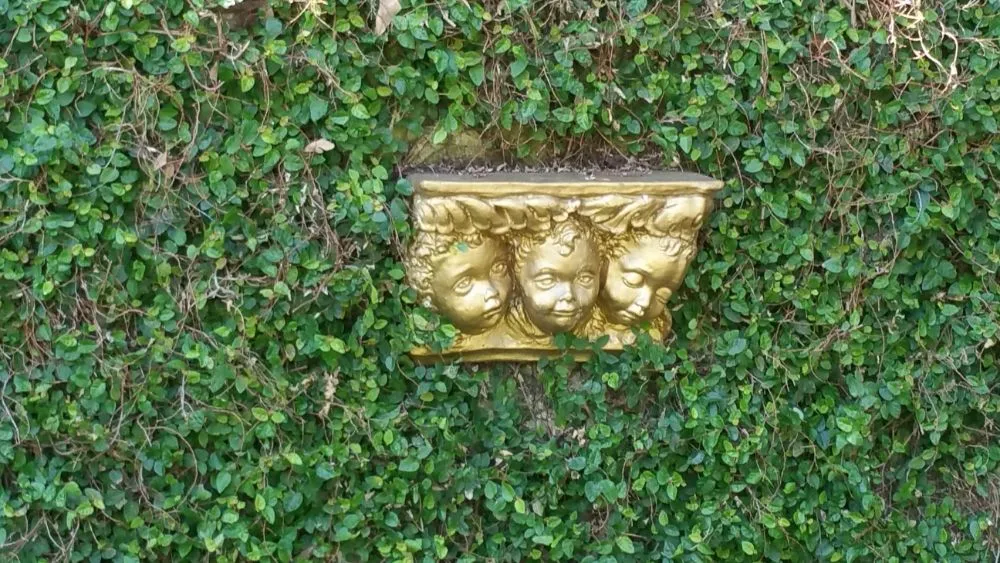 Professional lawn mowing service in Columbia, SC by Professional Firefighter Lawn Service