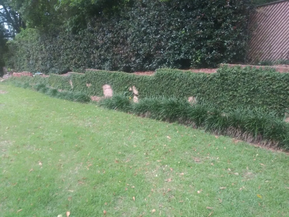 Custom residential landscaping in Columbia, SC by Professional Firefighter Lawn Service