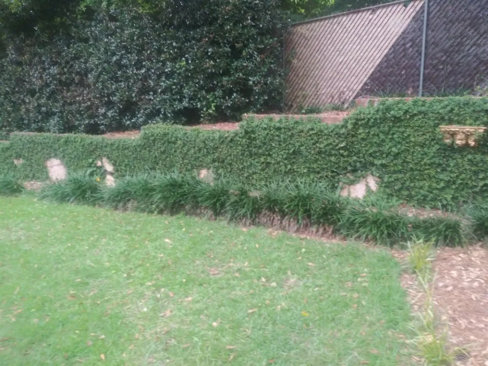 Professional outdoor landscaping in Columbia, SC by Professional Firefighter Lawn Service