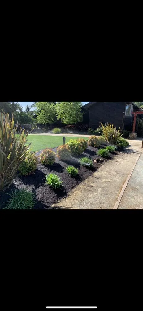 Affordable landscape design with custom design across Calistoga, CA - Professional Garden Maintenance & Landscaping