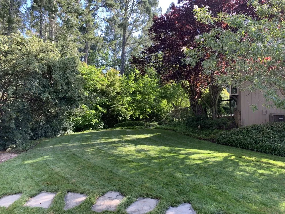 Local yard maintenance in Calistoga, CA - Professional Garden Maintenance & Landscaping