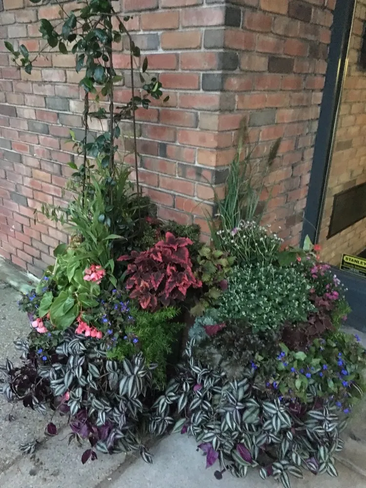 Trusted residential landscaping for beautiful yards across Dimondale, MI - Professional Gardener & Landscape Services