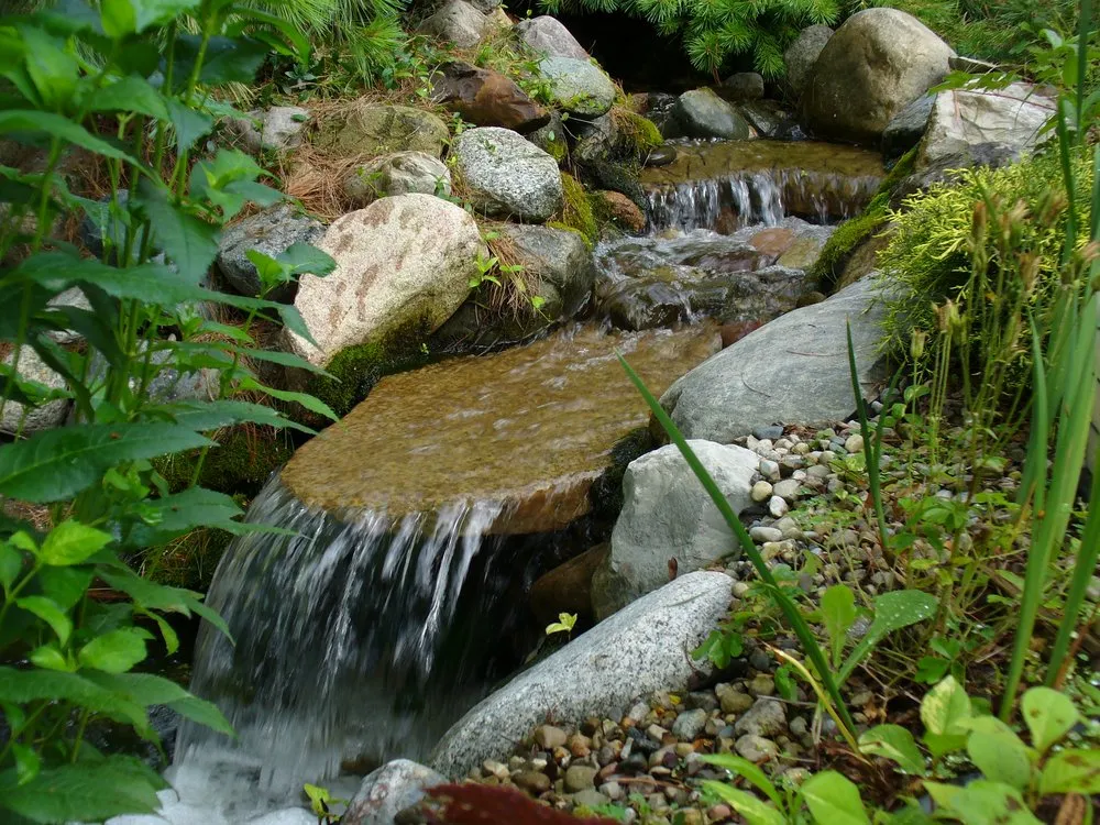 Reliable yard maintenance experts serving Dimondale, MI - Professional Gardener & Landscape Services