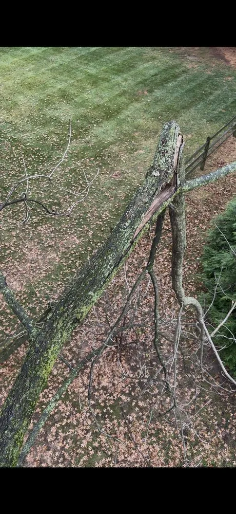 Top-rated landscape design for residential properties in Chester, PA by Professional Gardens Landscaping & Tree Service