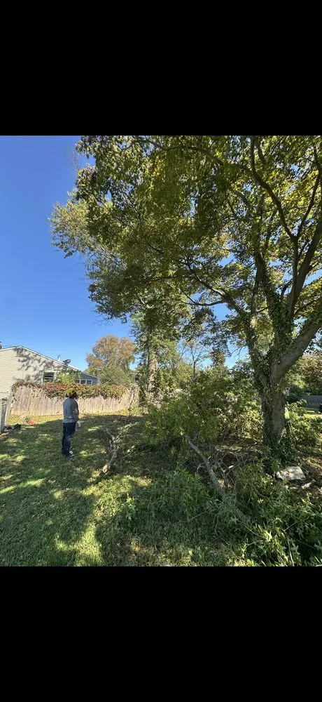 Affordable yard cleanup service in Chester, PA - Professional Gardens Landscaping & Tree Service