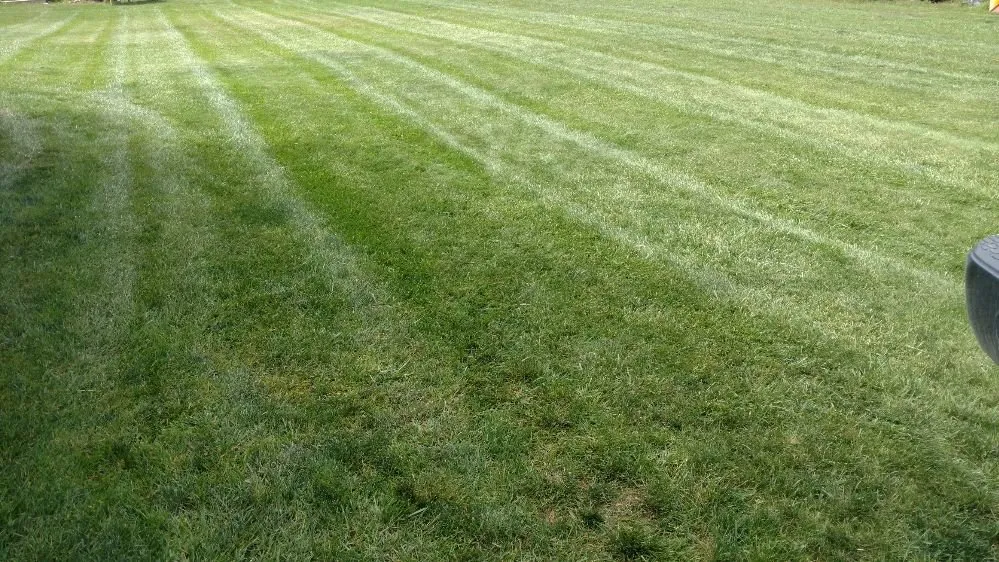 Reliable lawn mowing service in Lake Michigan, MI - Professional Grade