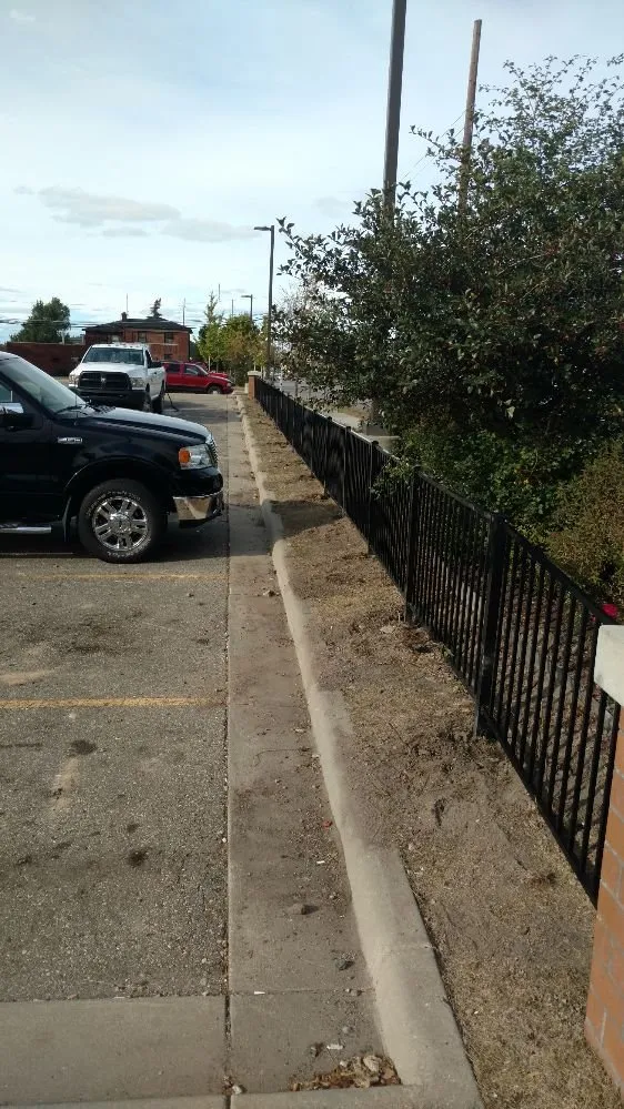 Professional yard maintenance for outdoor upgrades across Lake Michigan, MI - Professional Grade