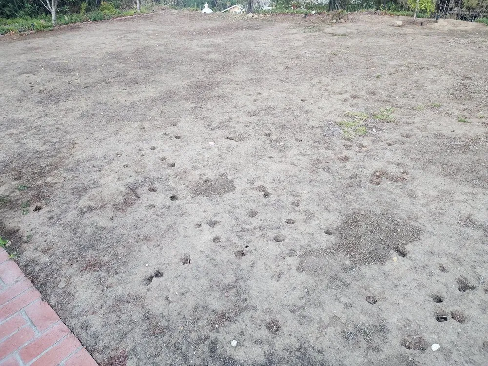 Trusted landscape design in La Puente, CA by Professional Greenscape