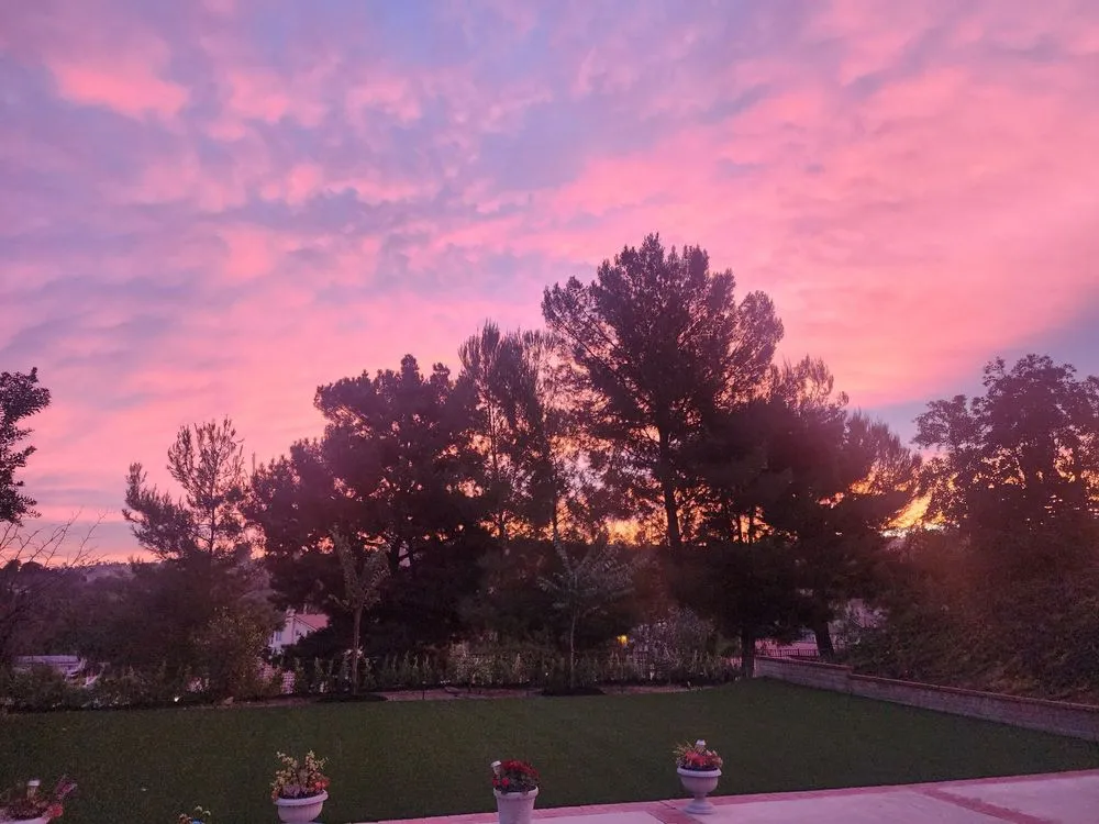 Professional residential landscaping near you in La Puente, CA by Professional Greenscape