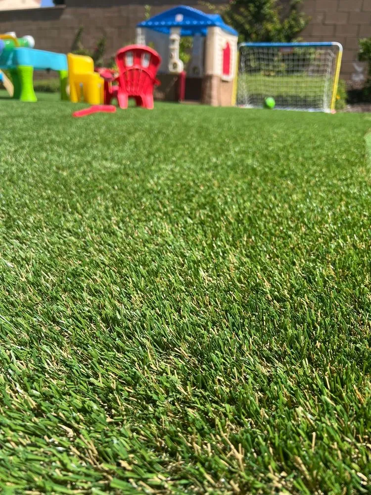 Trusted yard cleanup service for homes across La Puente, CA - Professional Greenscape