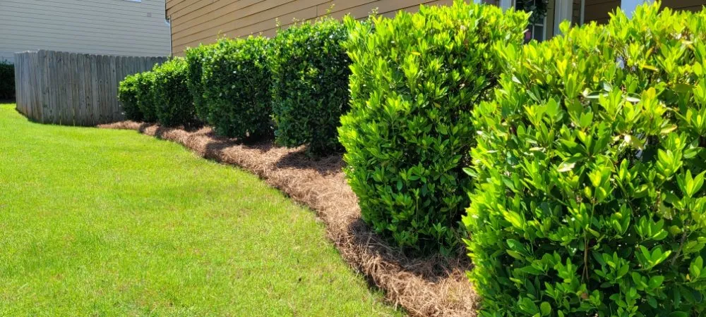 Custom landscape design experts serving Lawrenceville, GA - Professional Ground Cover