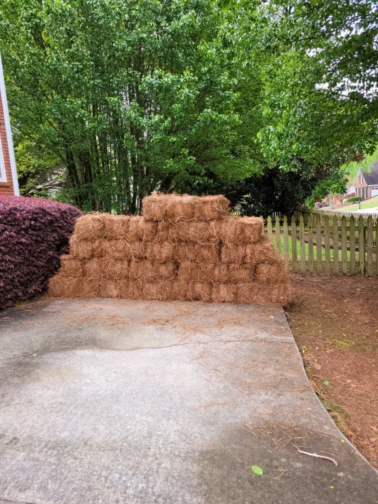 Trusted landscaping services for beautiful yards across Lawrenceville, GA - Professional Ground Cover