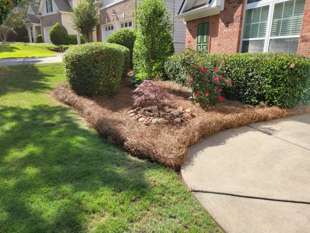 Custom lawn care service in Lawrenceville, GA - Professional Ground Cover