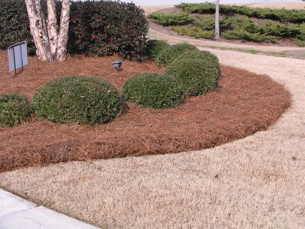 Top-rated residential landscaping experts serving Lawrenceville, GA - Professional Ground Cover