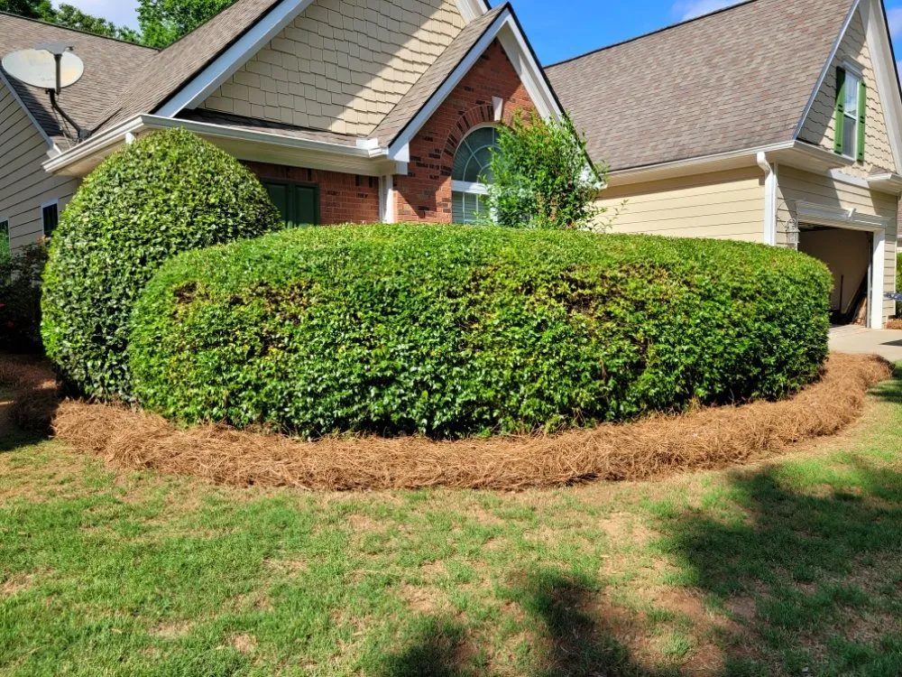 Local residential landscaping experts serving Lawrenceville, GA - Professional Ground Cover
