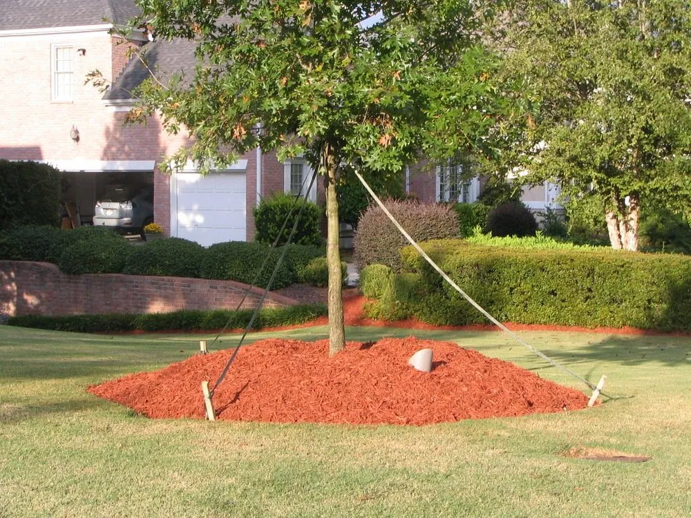 Professional yard cleanup service in Lawrenceville, GA - Professional Ground Cover
