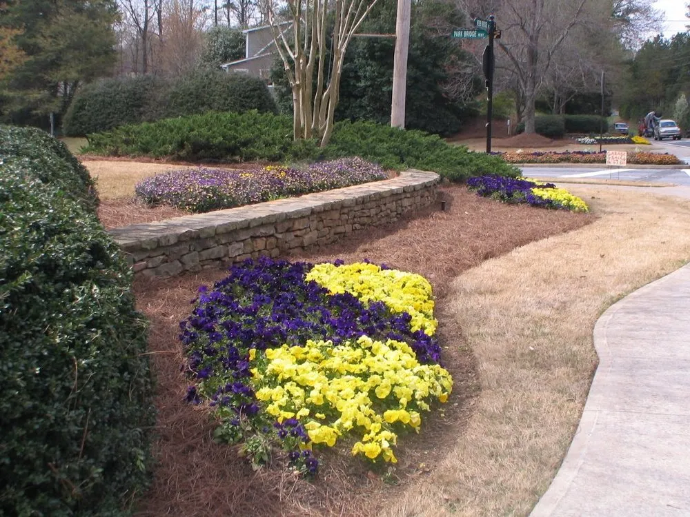 Affordable landscape design in Lawrenceville, GA by Professional Ground Cover
