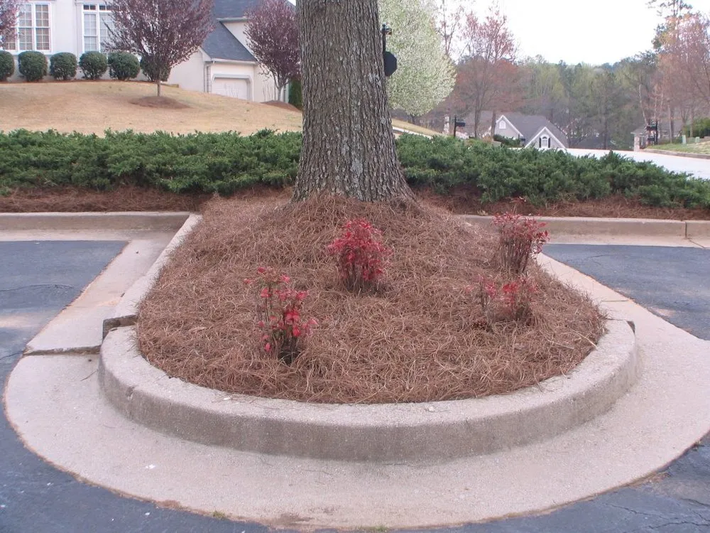 Local garden landscaping in Lawrenceville, GA - Professional Ground Cover