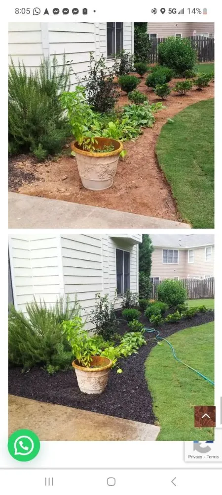 Custom landscaping services for year-round maintenance in Lawrenceville, GA by Professional Ground Cover