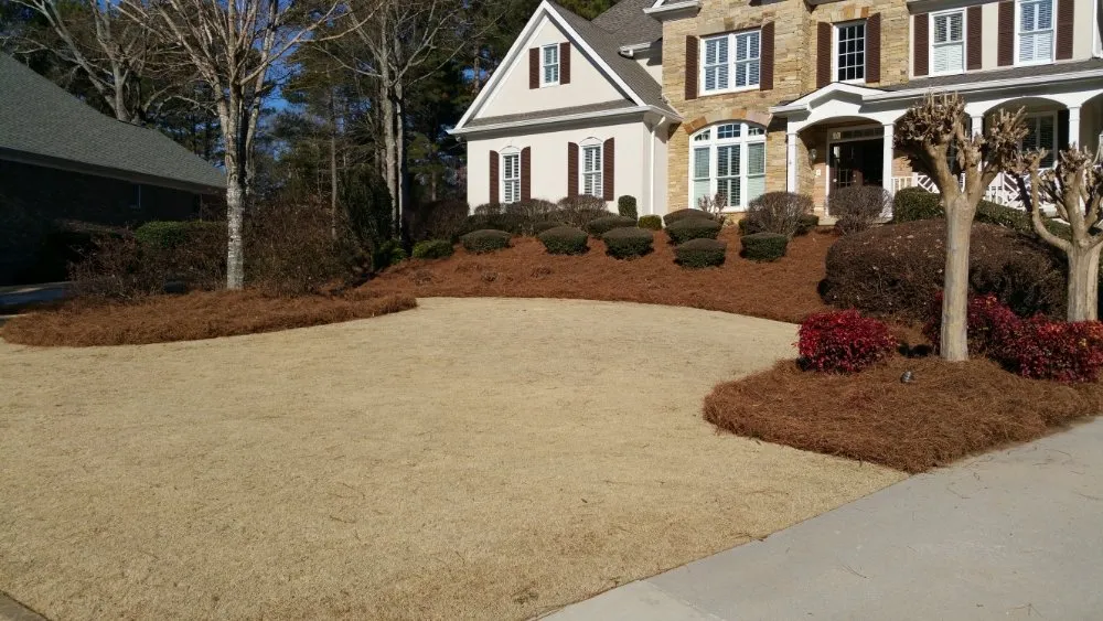 Local residential landscaping in Lawrenceville, GA - Professional Ground Cover