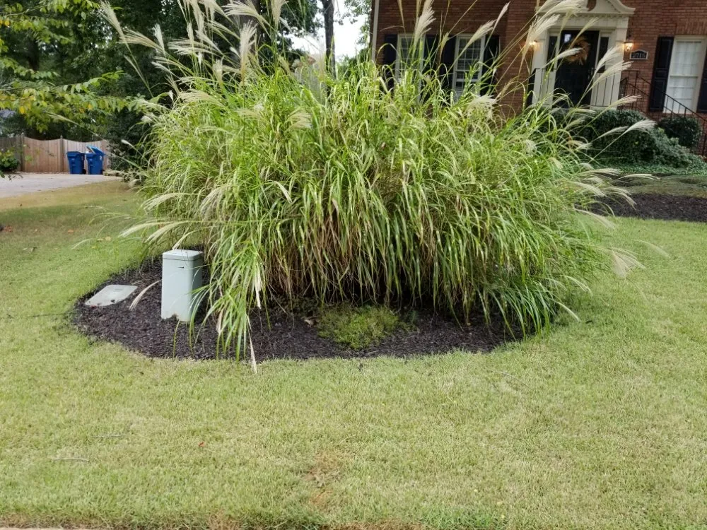 Top-rated lawn mowing service for homes in Lawrenceville, GA by Professional Ground Cover