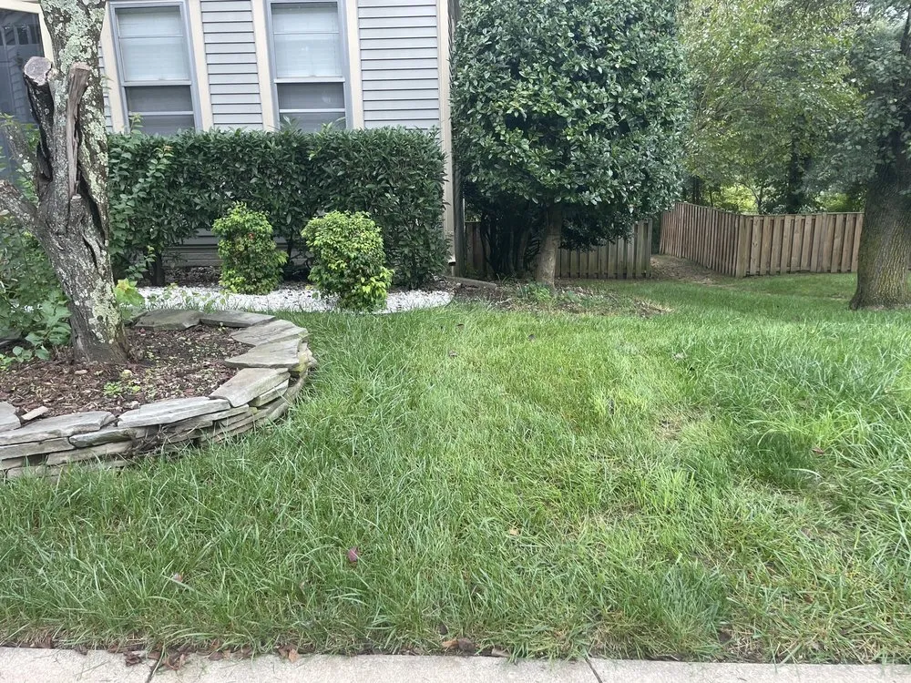 Custom lawn care service experts serving Lorton, VA - Professional Grounds