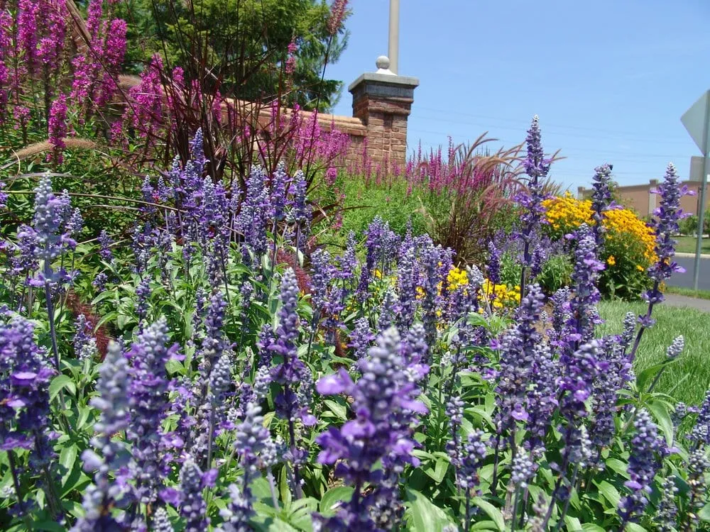 Expert residential landscaping experts serving Lorton, VA - Professional Grounds